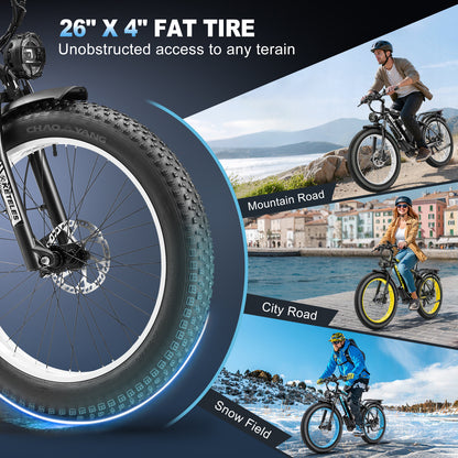 Keteles K800 48V 20AH 250W Rear Motor Fat Tire E-Bike