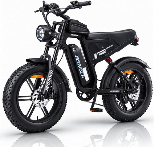 JESRIDER G650 Retro All-Terrain E-Bike for Adults, 48V 20Ah Removable Battery, 20