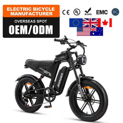 JESRIDER G650 Retro All-Terrain E-Bike for Adults, 48V 20Ah Removable Battery, 20"x4 Fat Tire, Full Suspension